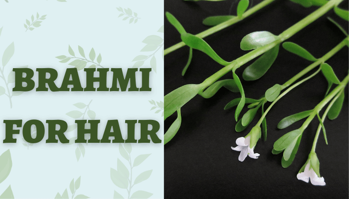 Brahmi For Hair
